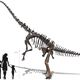 Illustration for article titled Which Eccentric Millionaire Will Buy This Nearly Complete Diplodocus Skeleton That's Going Up for Auction?